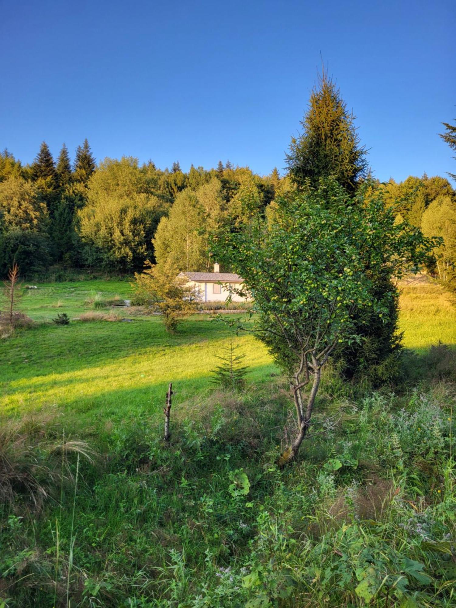 Prázdninový dům Lavendowa Oaza Kocierz Rychwaldzki