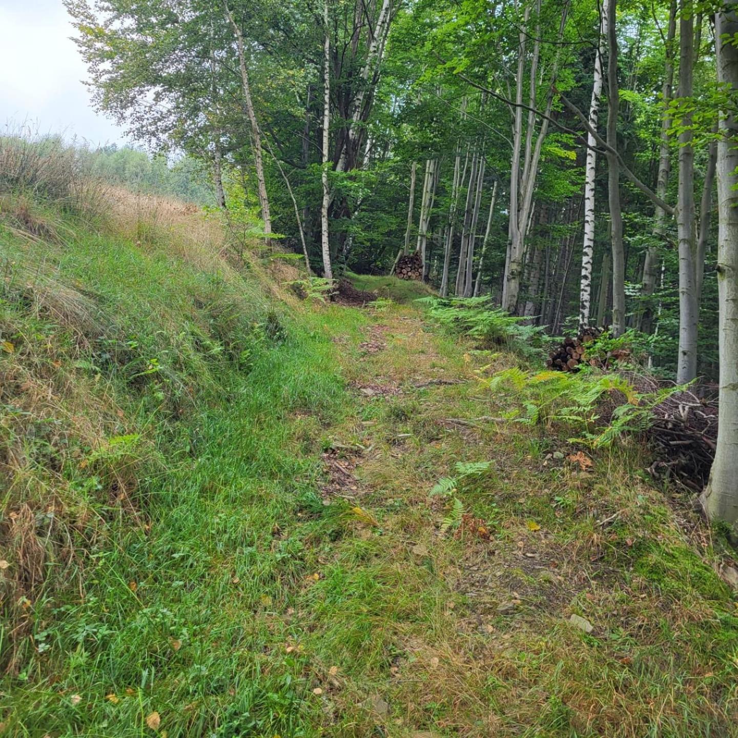 Lavendowa Oaza Holiday home Kocierz Rychwaldzki