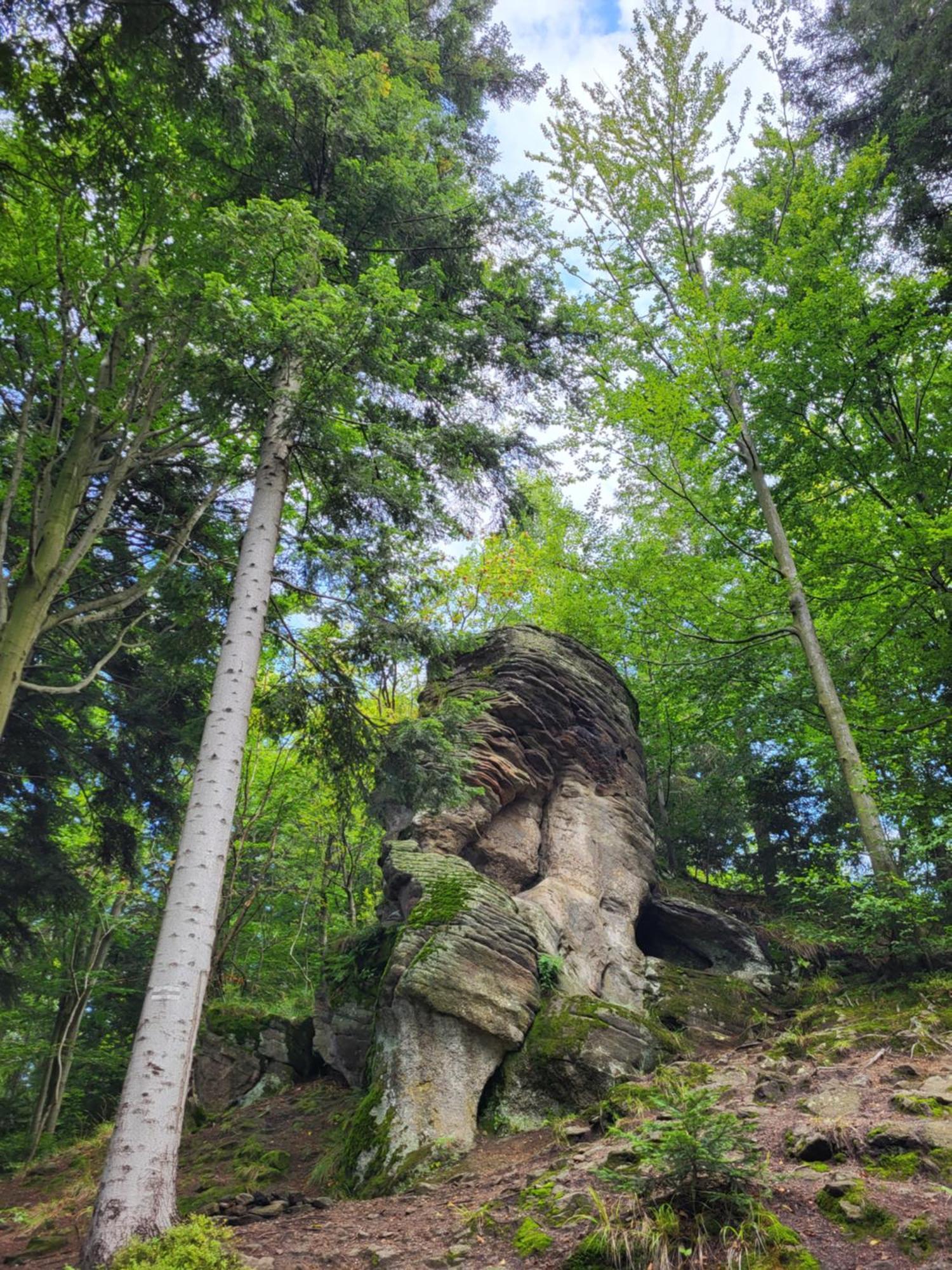 Lavendowa Oaza * Kocierz Rychwaldzki