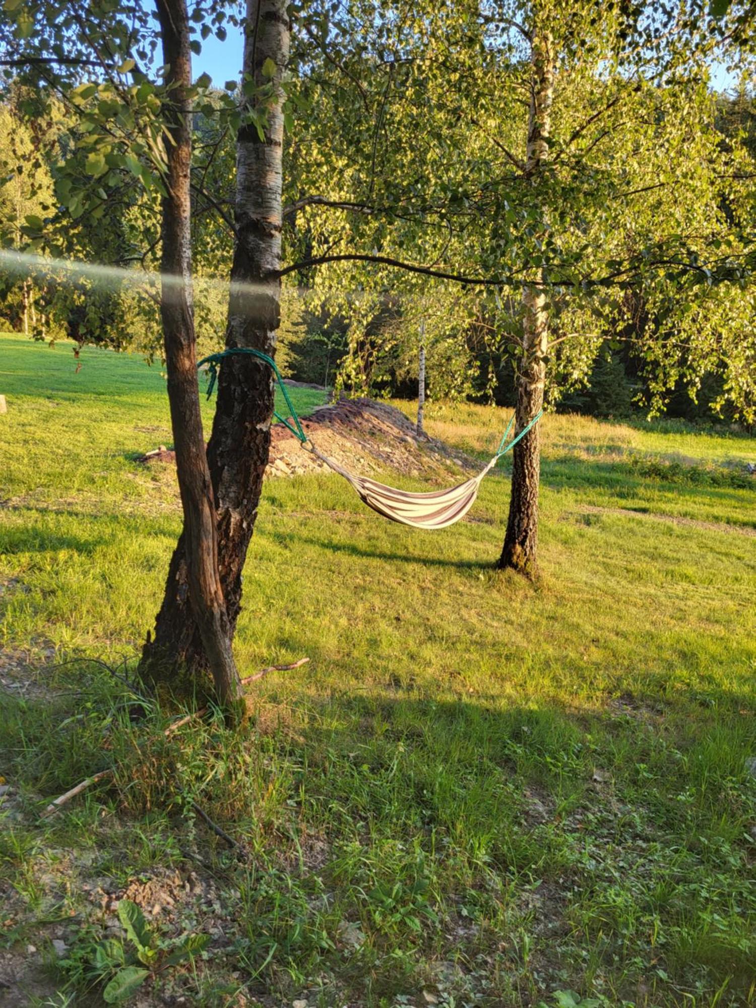 Lavendowa Oaza * Kocierz Rychwaldzki